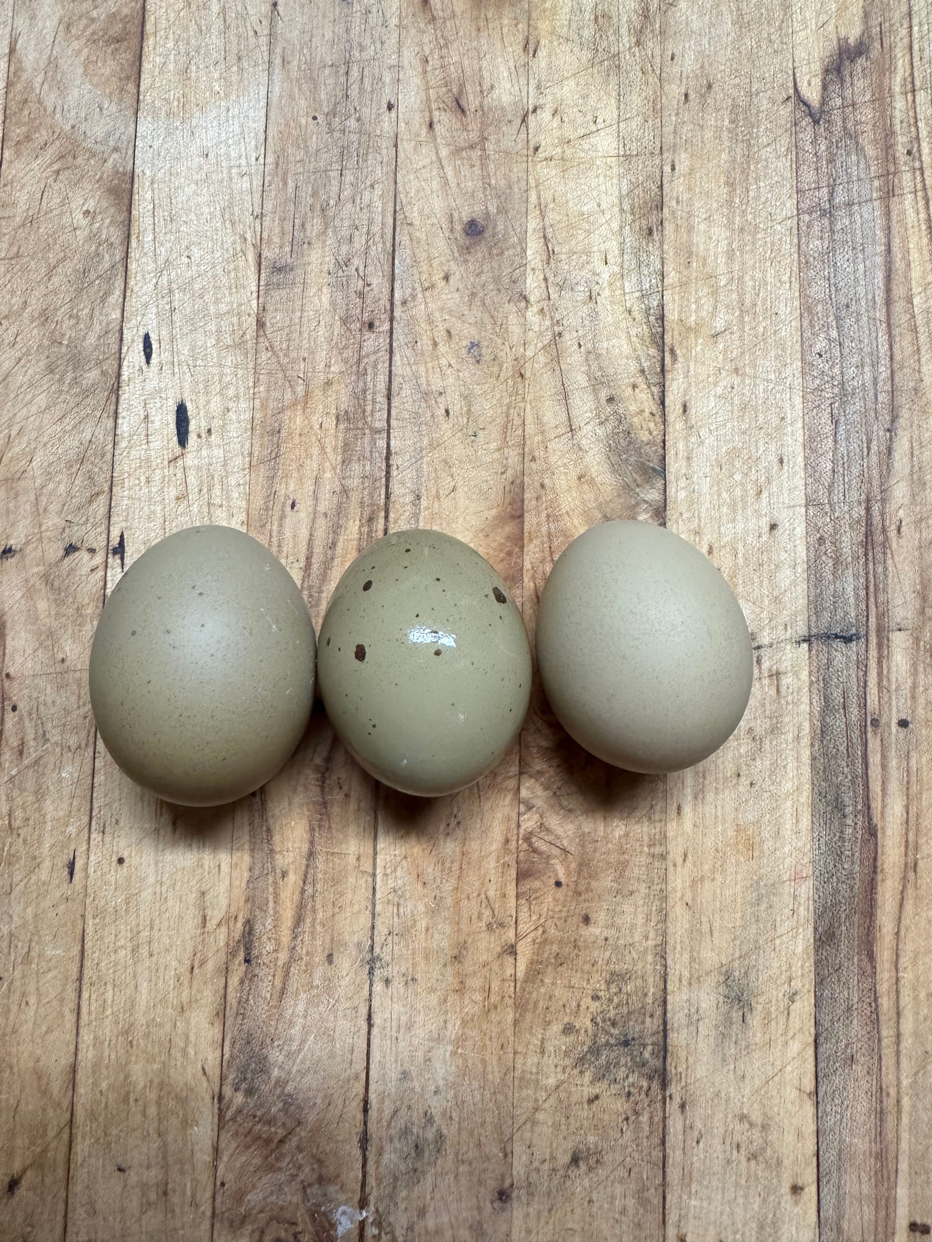 Heavy Bloom Olive Eggers image 1