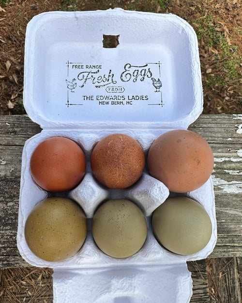 Half Dozen- Olive Egger Hatching Eggs  image 1