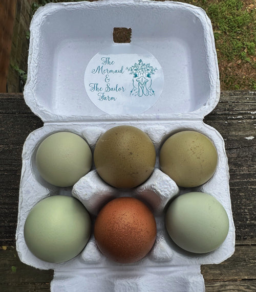 Half Dozen- Olive Egger Hatching Eggs  image 0